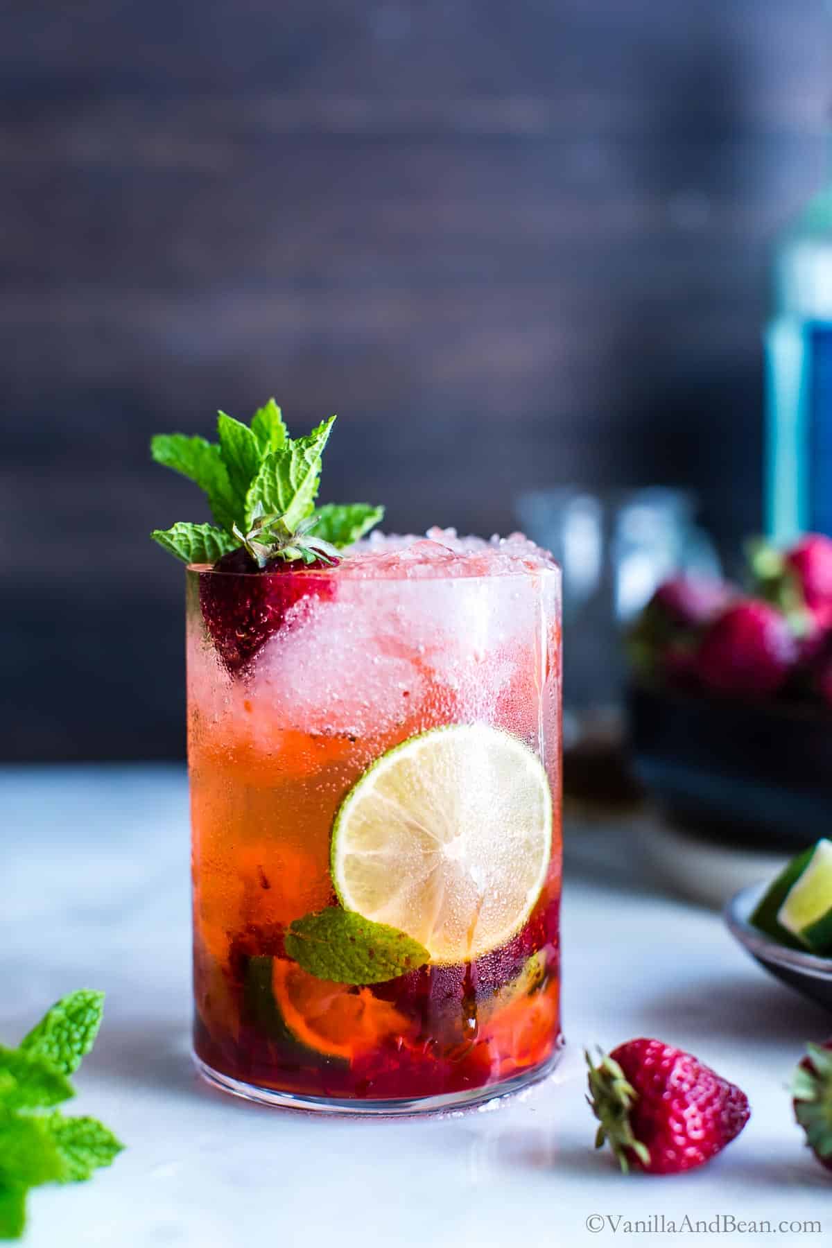 A Celebration of Summer Cocktails